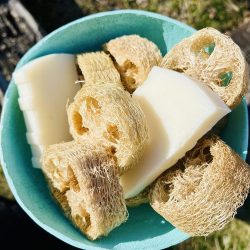 lye soap with luffa in a bowl