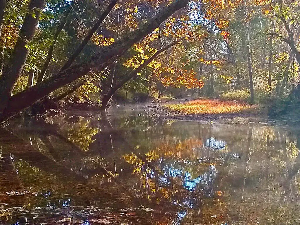 fall creek scene